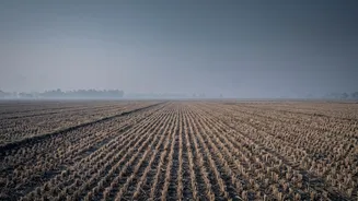 Crop Burning After Monsoon: What Happens To The Smoke In The Atmosphere