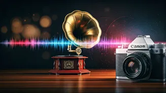 Top Bollywood Songs: Exploring Iconic Melodies