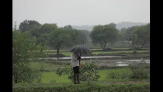 El Niño Predicted to Impact India's Agriculture Economy in 2026