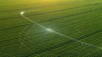 Farming from Above: How Satellites Are Revolutionizing Crop Monitoring and Efficiency