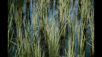 How to Test Tube Well Water for Better Crop Yields