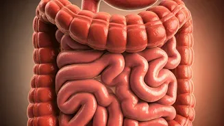 Natural Ways to Reset Your Gut in 11 Days