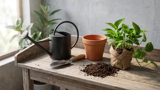 Keep Home Indoor Houseplants Alive Easily With Simple Beginner Gardening Hacks Today