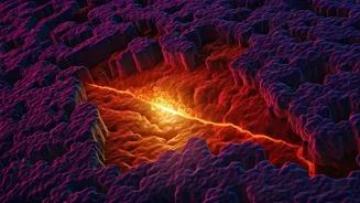 Revolutionary Cholesterol Treatment Targets LDL Production for Improved Heart Health