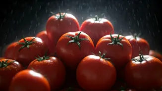 Gurugram's La Tomatina: A Fiery Debate Over Festival Fun and Food Waste