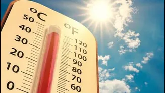 IMD rolls out digital weather observation system on World Meteorological Day