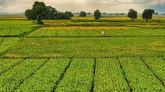 7 Indian Escapes Where The Monsoon Makes The Landscape More Dramatic