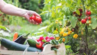 Related Stories banner