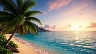 Search Vol Explodes For Last Minute Tropical Vietnam Trips