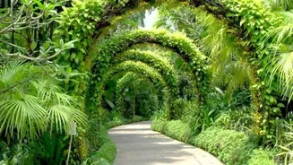 Western Australia's stunning botanical gardens: A list