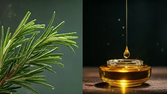 Summer Hair Growth Oils: Rosemary vs. Castor Oil - Which Reigns Supreme?