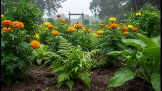 Bengaluru's July Monsoon Gardening Conditions: The Bigger Story behind Bengaluru's Rain-Fed Planting Window