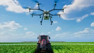 AI-Powered Agriculture: Smartphone Sensors Help Farmers In Punjab And Maharashtra Save Crops