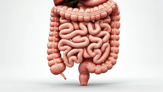 Constipation: Spotting It, Risks, and Relief
