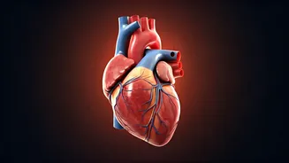 How Can You Protect Your Heart After 30?