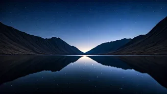 Zodiac Signs: Calm in a Crisis