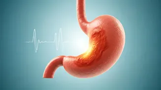 Ulcer Origins Revealed: Understanding Causes and the Power of a Simple Breath Test