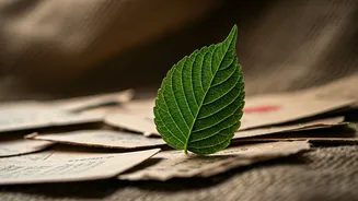 Fashion Brands Need To Prove Their Green Claims