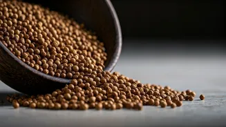 Unlock Clearer Breathing: The Viral Coriander Seed Hack for Nasal Congestion