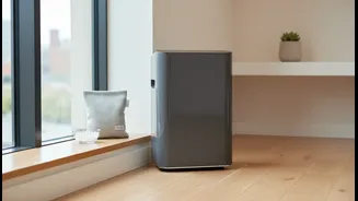 How Renter Households Build Effective Moisture Barriers Using Smart Removable Interior Accessories