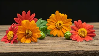 10 Revived Springtime Delights From India