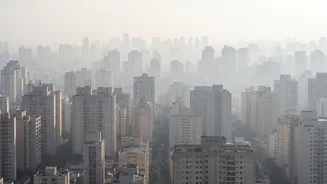 Delhi Air Pollution UN Report: The Essential Context