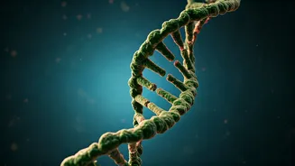 Boost Your Health: Simple Habits for Cancer Prevention Through Physical Activity