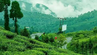 Prepare For Mud, Rain And Humidity Before Your Western Ghats Trip