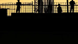 India's July Jobs Picture: Lower Unemployment, But What About Young Workers?