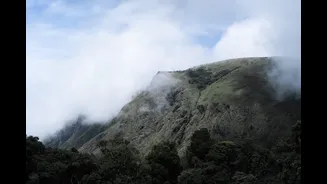 Tamil Nadu's Nilgiris and Theni under heavy rain alert: how hill districts are bracing today