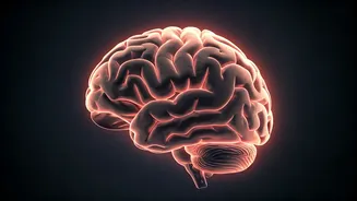 Headache Hurdles: A Comprehensive Quiz to Test Your Knowledge