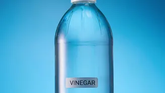 Drinking Diluted Vinegar Before High-Carbohydrate Meals Helps Prevent Rapid Postprandial Glucose Spikes