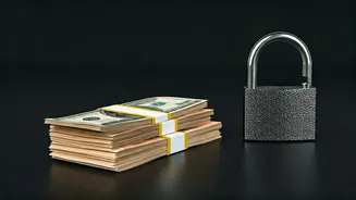 Lost Your Foreign Assets Schedule? Here's the Fix!