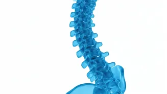 Your Posture Speaks Volumes: Learn Its Secrets