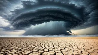 Weather Alert: Cold Wave & Heavy Rainfall Across India