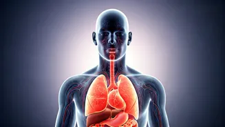 Unlock Your Body's Nightly Reset: The Surprising Power of Sleep for Detoxification and Health