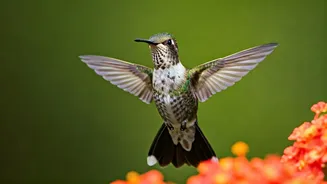 Related Stories banner