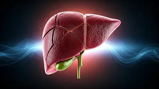 Lower Protein Diet Might Slow Liver Tumors in Damaged Livers, New Study Suggests