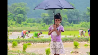 India Faces 15% Monsoon Rainfall Deficit in 2026 Due to El Niño
