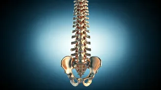 Spinal Wellness in the Digital Age: Your Guide to a Healthy Spine