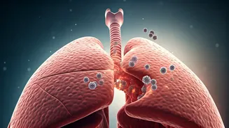 AIRCARE Initiative: Unraveling Air Pollution's Link to Lung Cancer in Delhi-NCR