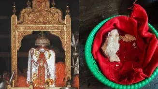 In This Rajasthan Temple, Rats Are Sacred