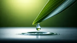 The Surprising Truth: Everyday Skincare Habits Damaging Your Skin