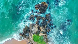Escape To Kerala Beaches: Off-Season Discounts At Quiet Bekal And Varkala Eco-Resorts