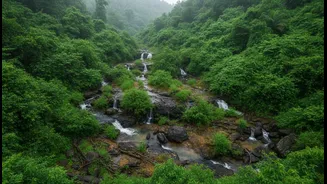 How monsoon rains transform coastal Goa hinterlands into premium eco-tourism escape choices today