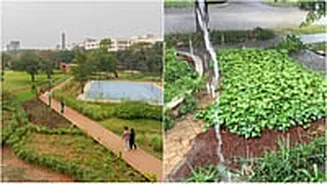 Mumbai News: BMC To Create 164 ‘Sponge Parks’ Across City To Tackle Flooding And Recharge Groundwater