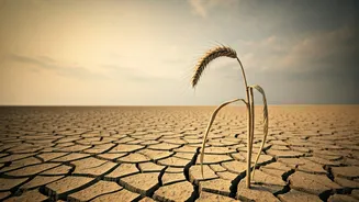 Below-Normal Monsoon Forecast For First Time In Three Years