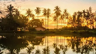 Beyond The Backwaters: A Five-Stop Kerala Travel Plan For Onam Season