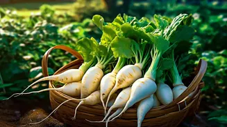 Proposed Food Reforms Could Track Indian Produce from Farm to Plate