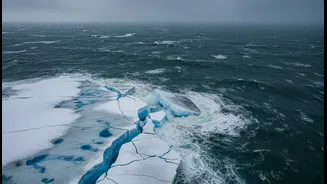 Sea Ice Loss Needs A Plain India Decode